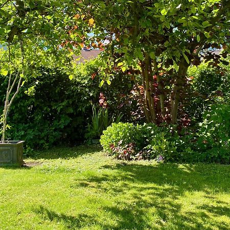Auszeit-Ort Mit Wohlfuehl-Garantie Διαμέρισμα Neu-Ulm Εξωτερικό φωτογραφία